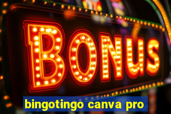 bingotingo canva pro